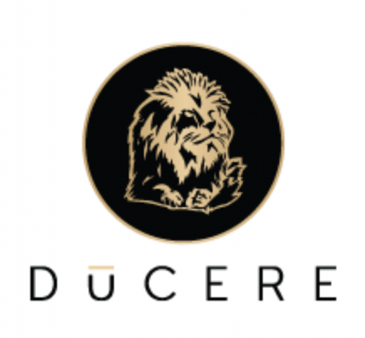 Ducere Global Business School