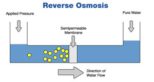 Coupling membranes and dendritic polymers