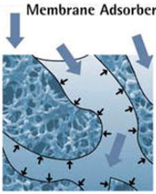 Advanced Membranes for Protein Chromatography