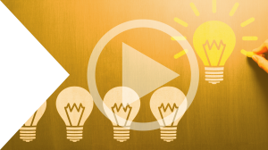 Category: Business Insight